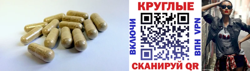 mega как войти  Усть-Джегута  ЭКСТАЗИ TESLA  цены  