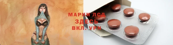 шишки Няндома