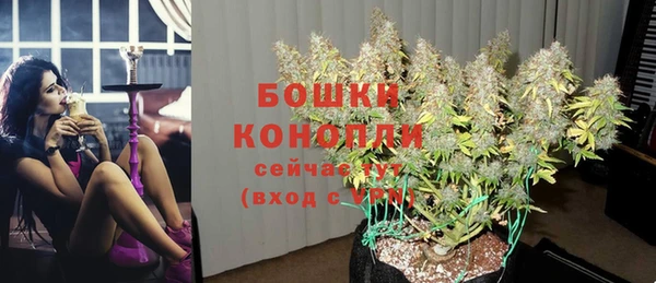 гидра Наволоки