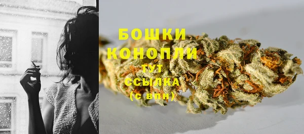 МДПВ Навашино