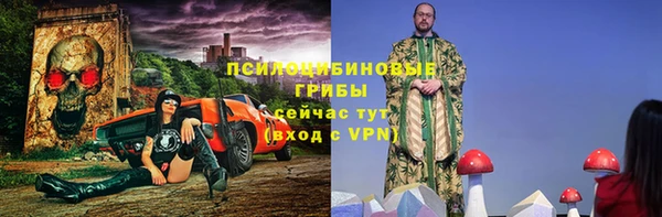 МДПВ Навашино