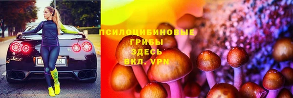 МДПВ Навашино