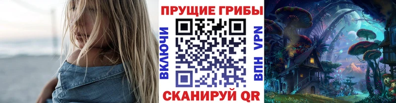 как найти наркотики Усть-Джегута Псилоцибиновые грибы Cubensis