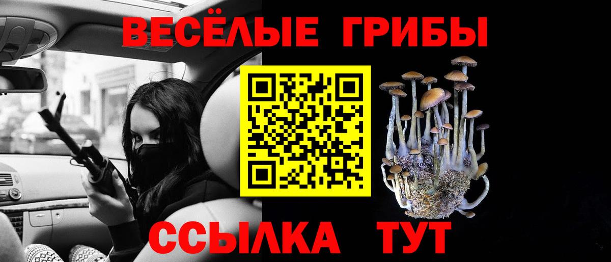 Галлюциногенные грибы мицелий  Вход с VPN  Усть-Джегута  Галлюциногенные грибы мицелий 
